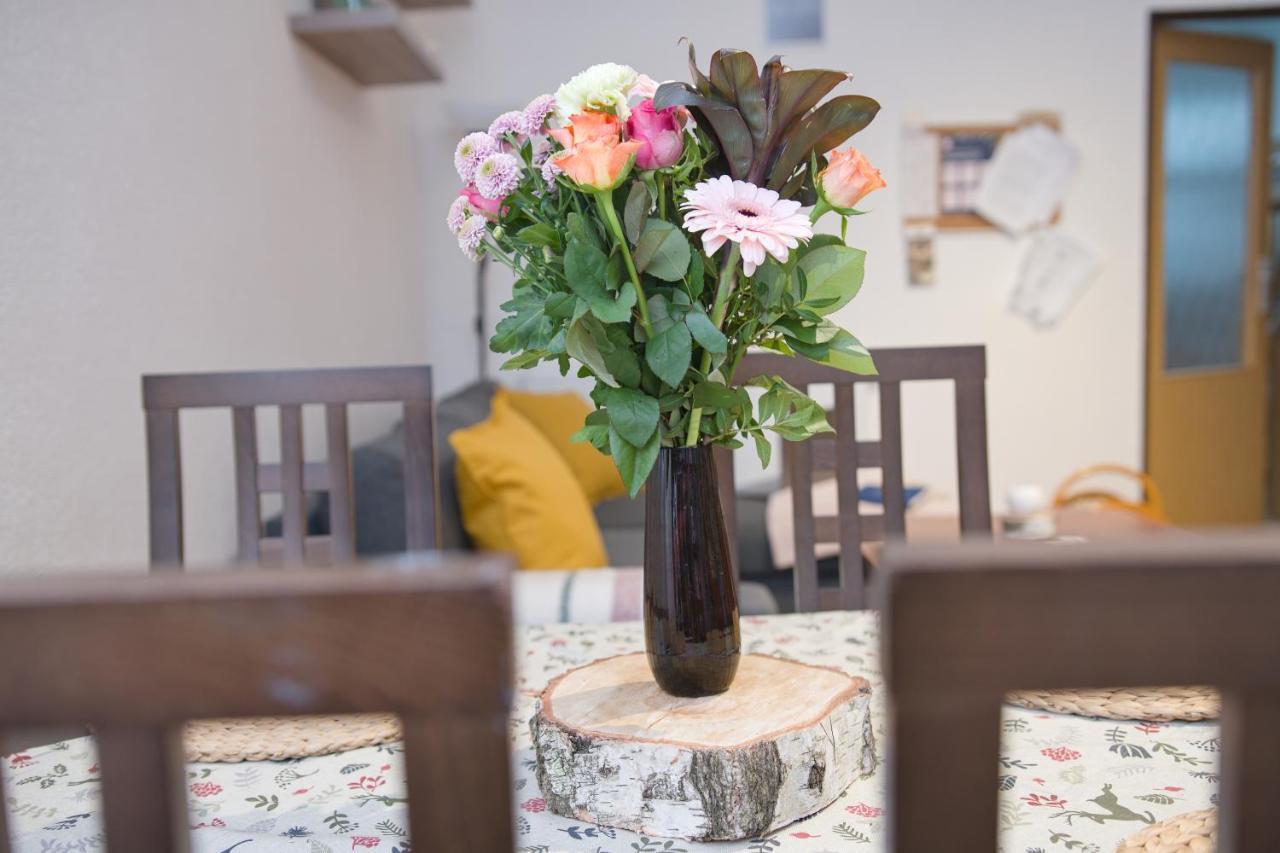 Apartman Pod Cernou Horou Svoboda nad Upou Luaran gambar